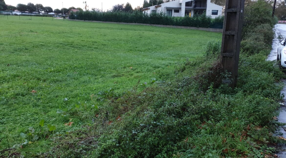 IMG-20251211-WA0000