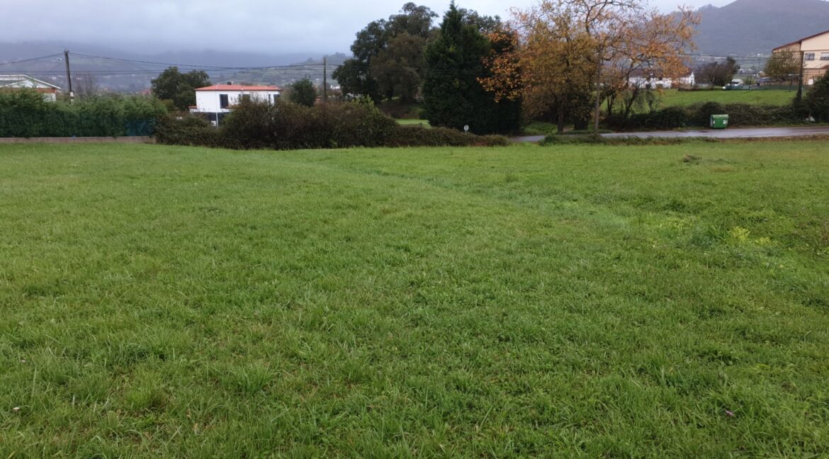 IMG-20251211-WA0003