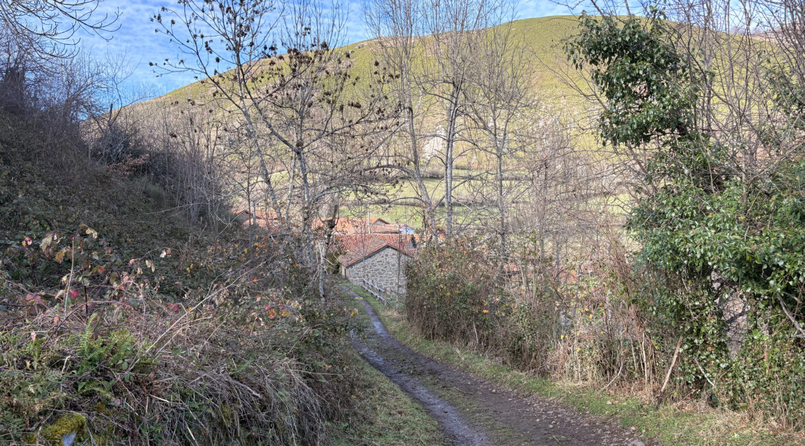 IMG_3082
