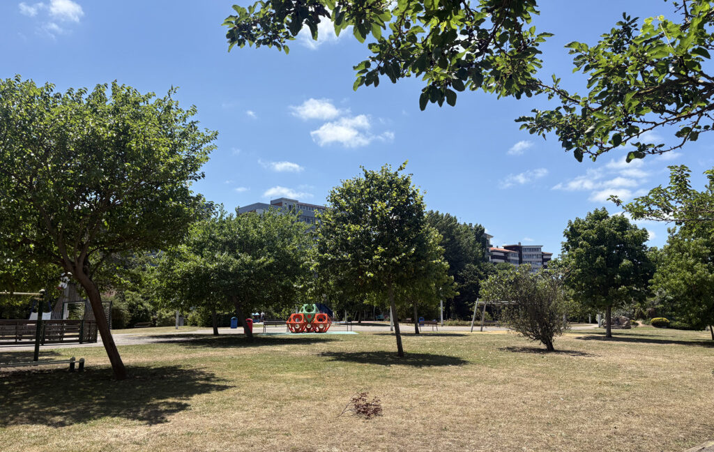 IMG_6887 (FILEminimizer)